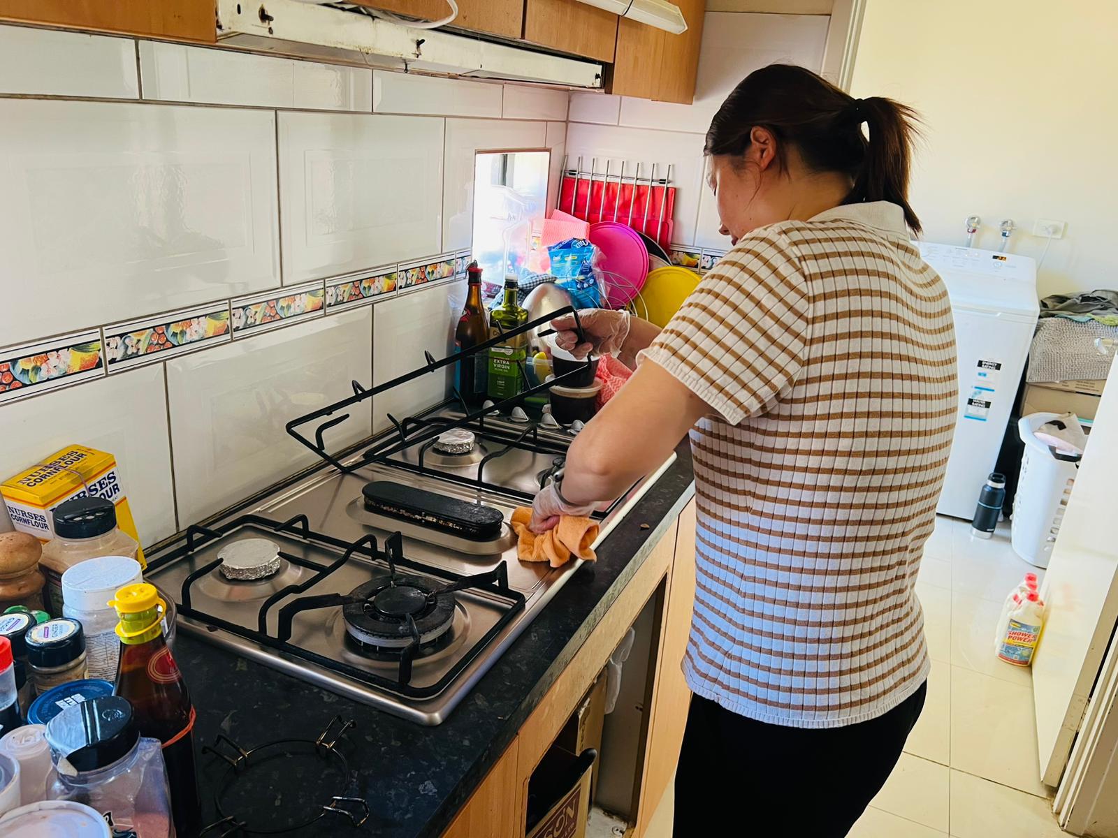 Household Cleaning Household Cleaning